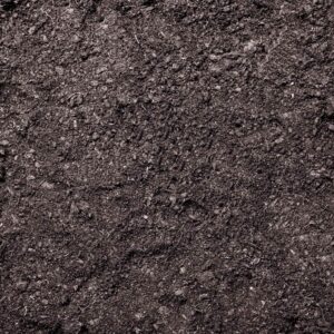 general purpose compost 5 WEB