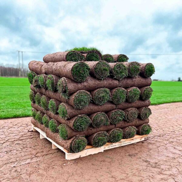 Emerald Turf - Image 2
