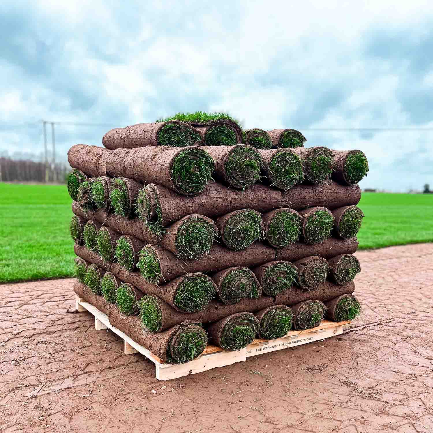 Emerald Turf - Image 2