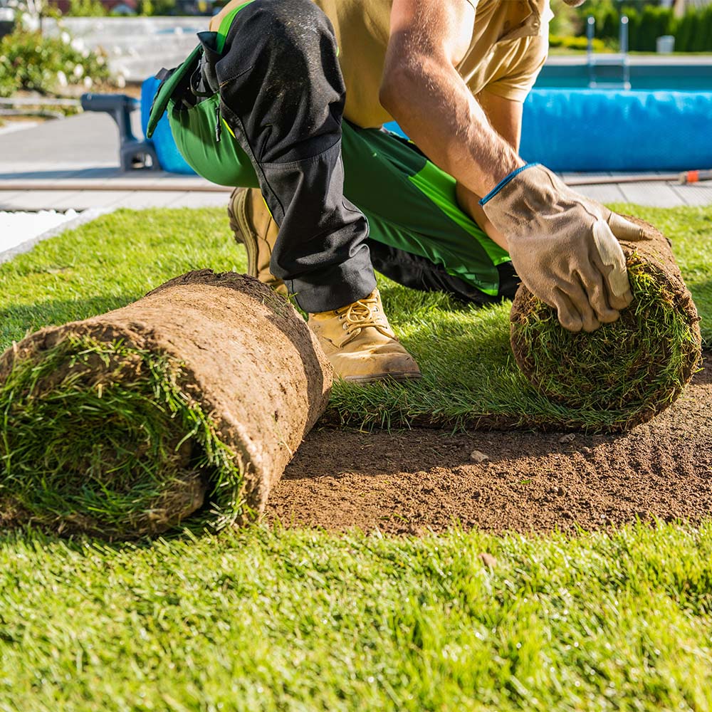 Emerald Turf - Image 4