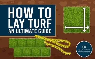 How To Lay Turf: [An Ultimate Guide] + Tips & Aftercare