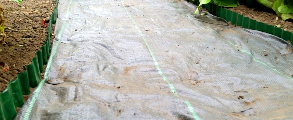 How To Lay A Gravel Garden Patio weed membrane