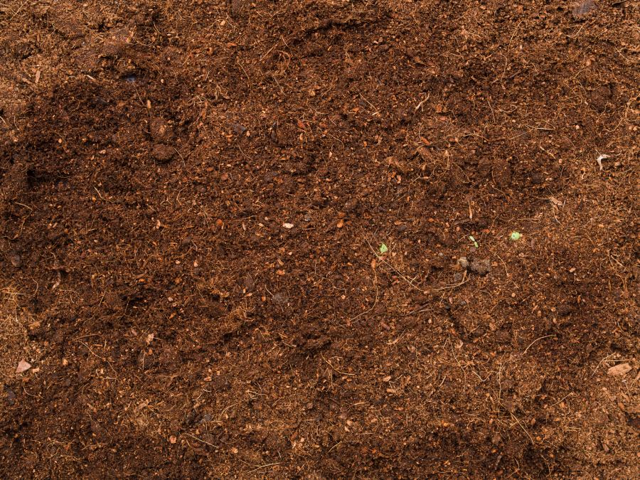 Ways to Improve Garden Soil 1