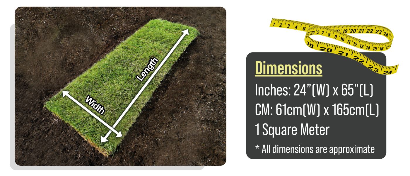turf-size-guide-1 TW turf-size-guide-1 TW