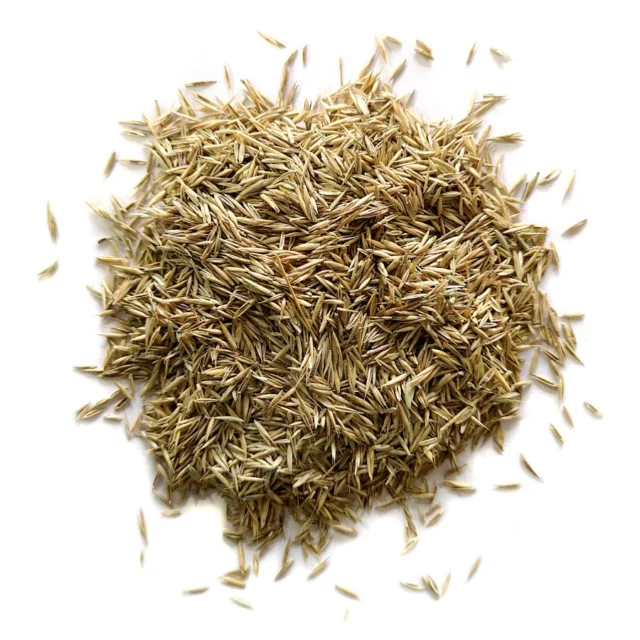 Grass Seed 20kg