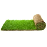 Signature Turf